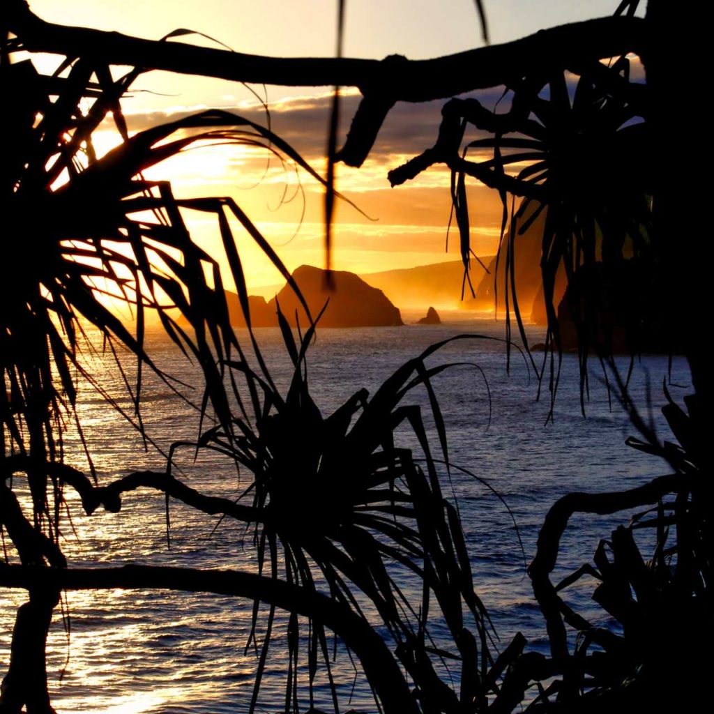 Pololu Sunset